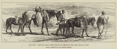 The War, Bringing Meat from Djunis to Greovatz for the Servian Army by Sir John Charles Robinson